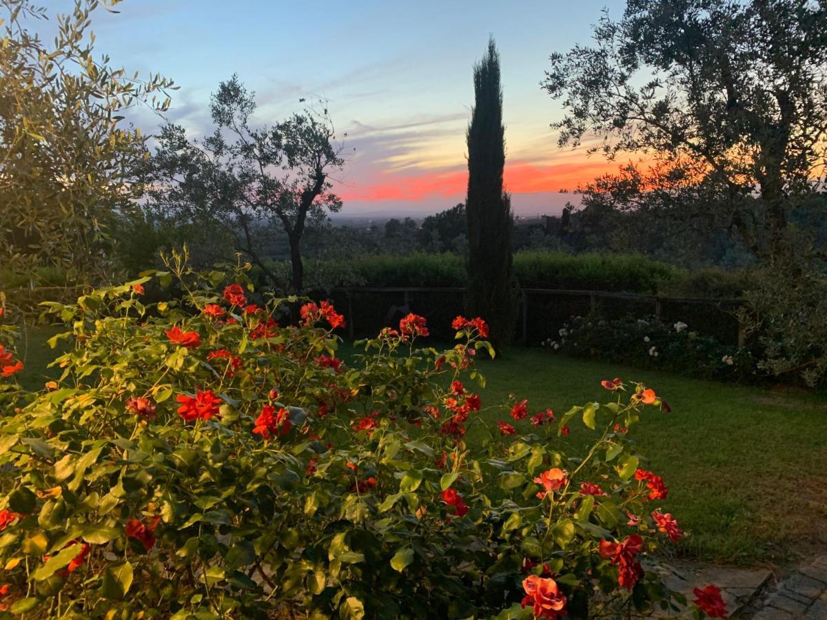 Podere Jana Antico Frantoio Vinci Esterno foto