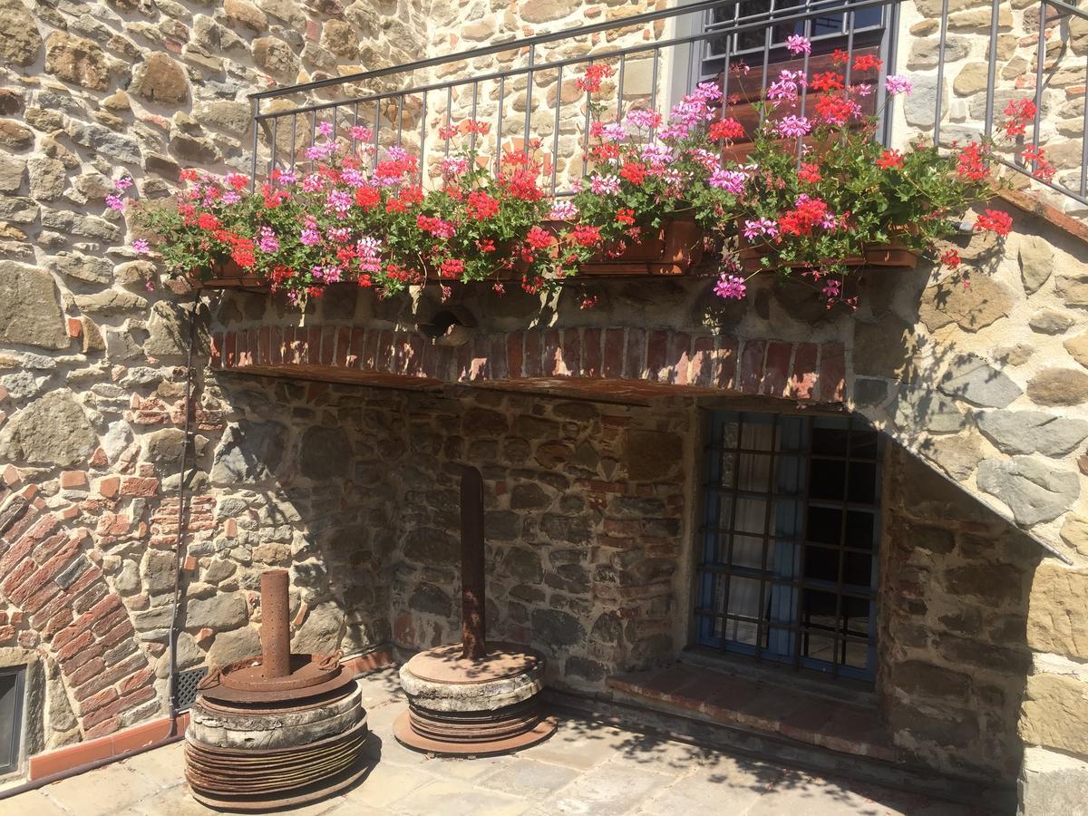 Podere Jana Antico Frantoio Vinci Esterno foto